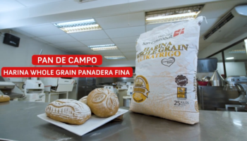 Pan de Campo - Harina Whole Grain Panadera Fina